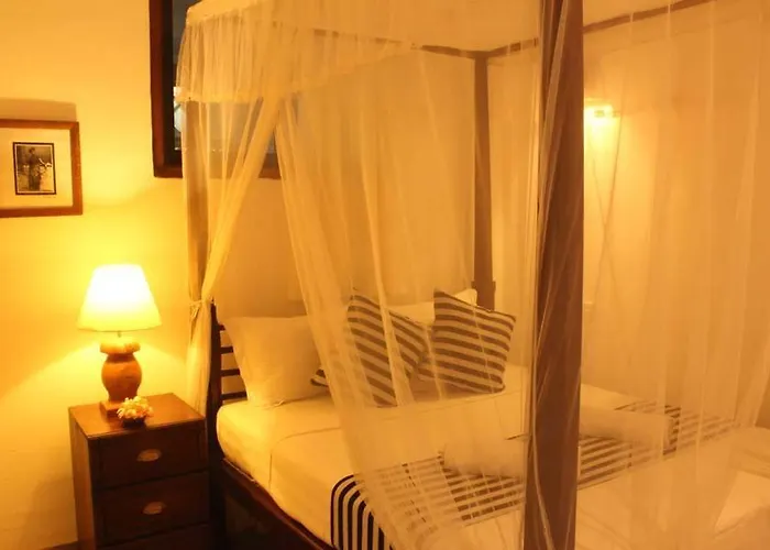Pedlar 62 Guest House